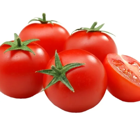 Fresh Green Tomato, Red Tomatoes, Tomato Paste