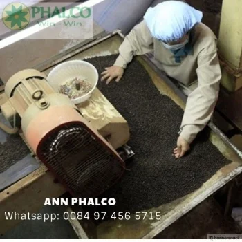 BLACK PEPPER WELL DRIED HOT SALE FROM KINGPEPPER | Ms Lynn +84333 421 999