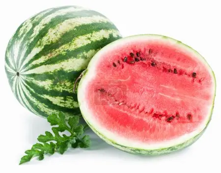 Fresh Watermelon Export Standard with Best Price Common Maturity 90%-100%