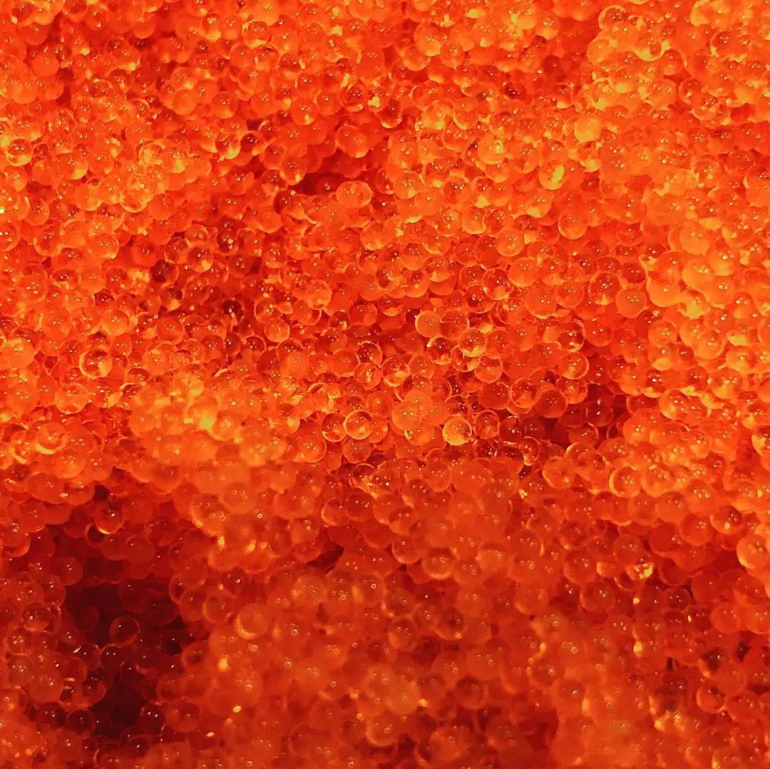 Top Class Caspian Caviar Royal Beluga 250g For