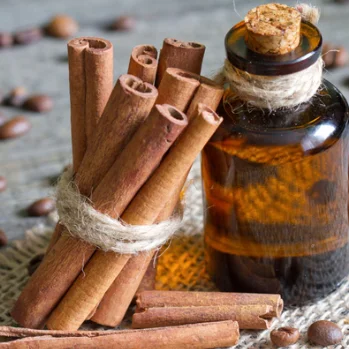 premium cassia cinnamon sticks vietnam top selling