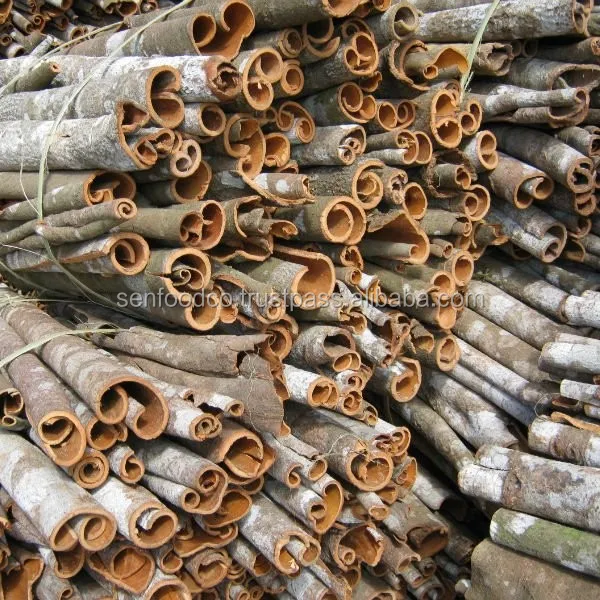 
PRESSED CASSIA FROM SEN FOODS JSC IN VIETNAM 