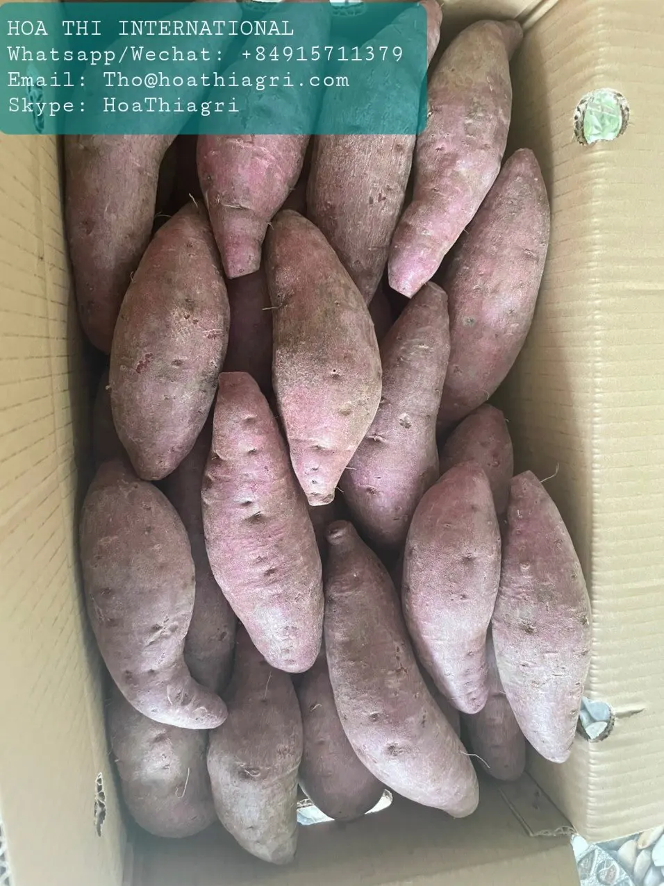 Carton Boxes Common Cultivation Type 100% Natural 170-450kg Sweet Potato Purple Flesh Vietnam With Export Quality