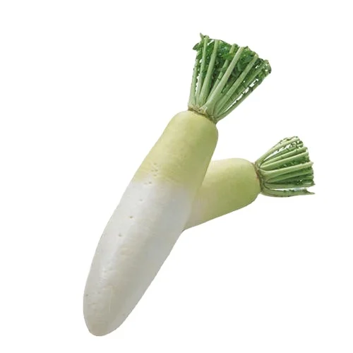 
Top grade Radish fresh white/green/red radish whole price directly from factory. 