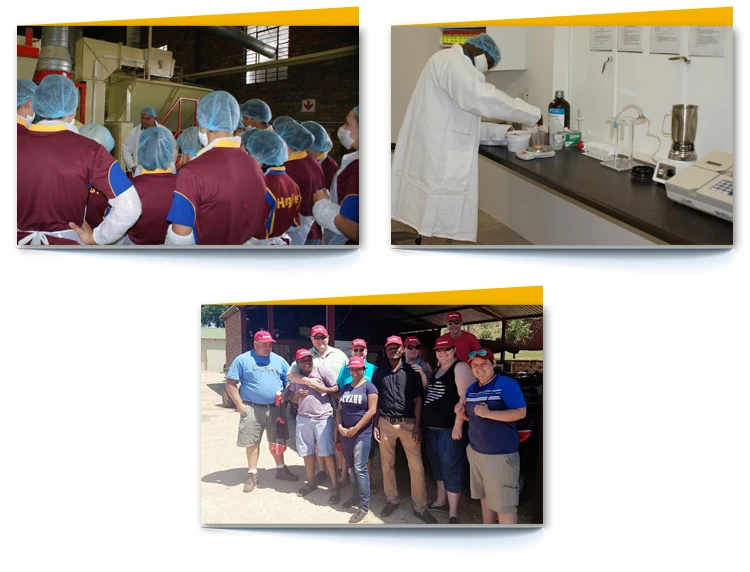 Spanish Varieties High Quality Best Selling Fresh Fruit Orange Juice Concentrate for Sale