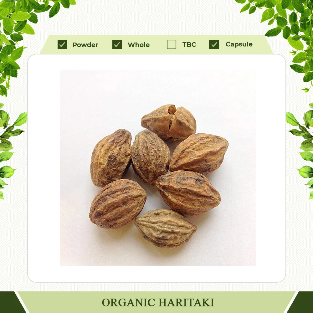 Premium Quality organic Haritaki Capsules Herbal Supplement Available In Bulk Retail And Custom Packaging haritaki capsules for