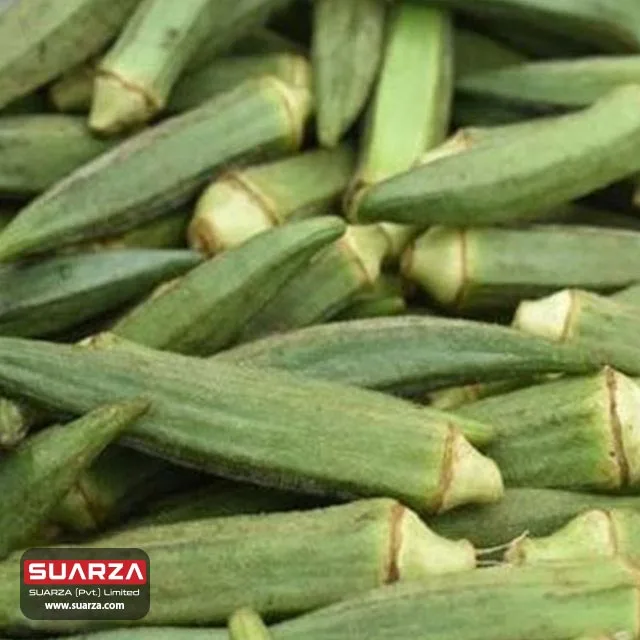 
Pakistani fresh green okra (lady finger) is exported to all over the world at competitively low market price 