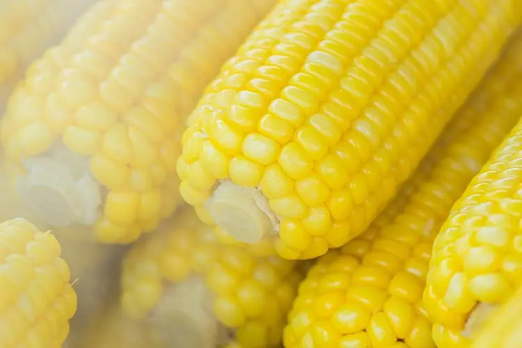Whole frozen corn cob sweet yellow corn iqf