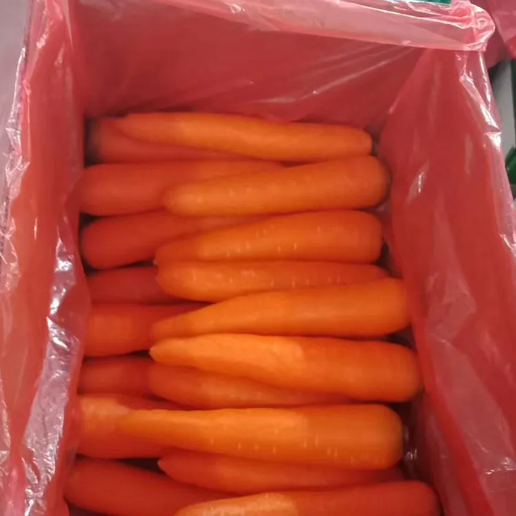  Продажа натуральных вкусных овощей свежих морковок