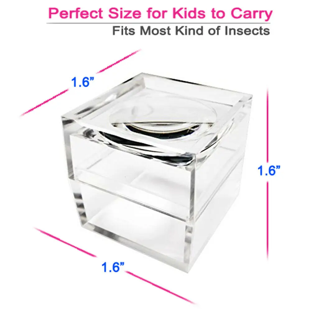 Clear Acrylic Cubic Magnifier Jar Insect box Bug Viewer for Kids