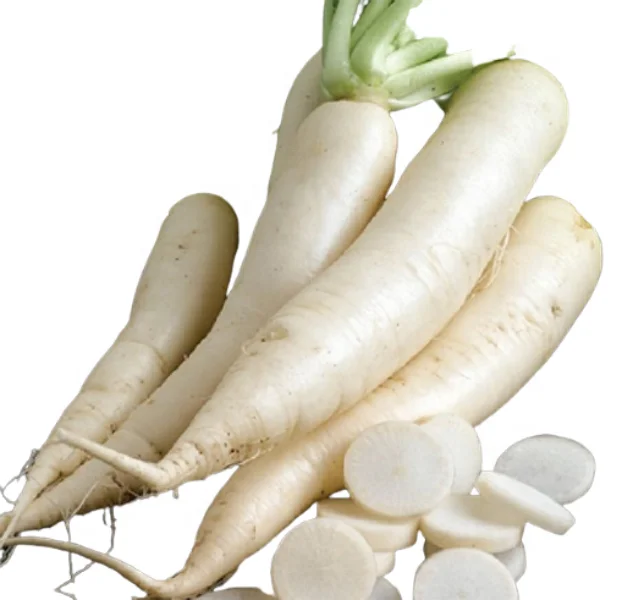 
High quality Fresh vegetables and fruits TURNIP Suppliers Vietnam brand 