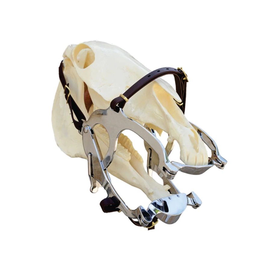 Horse equipment/Mouth speculum stainless steel