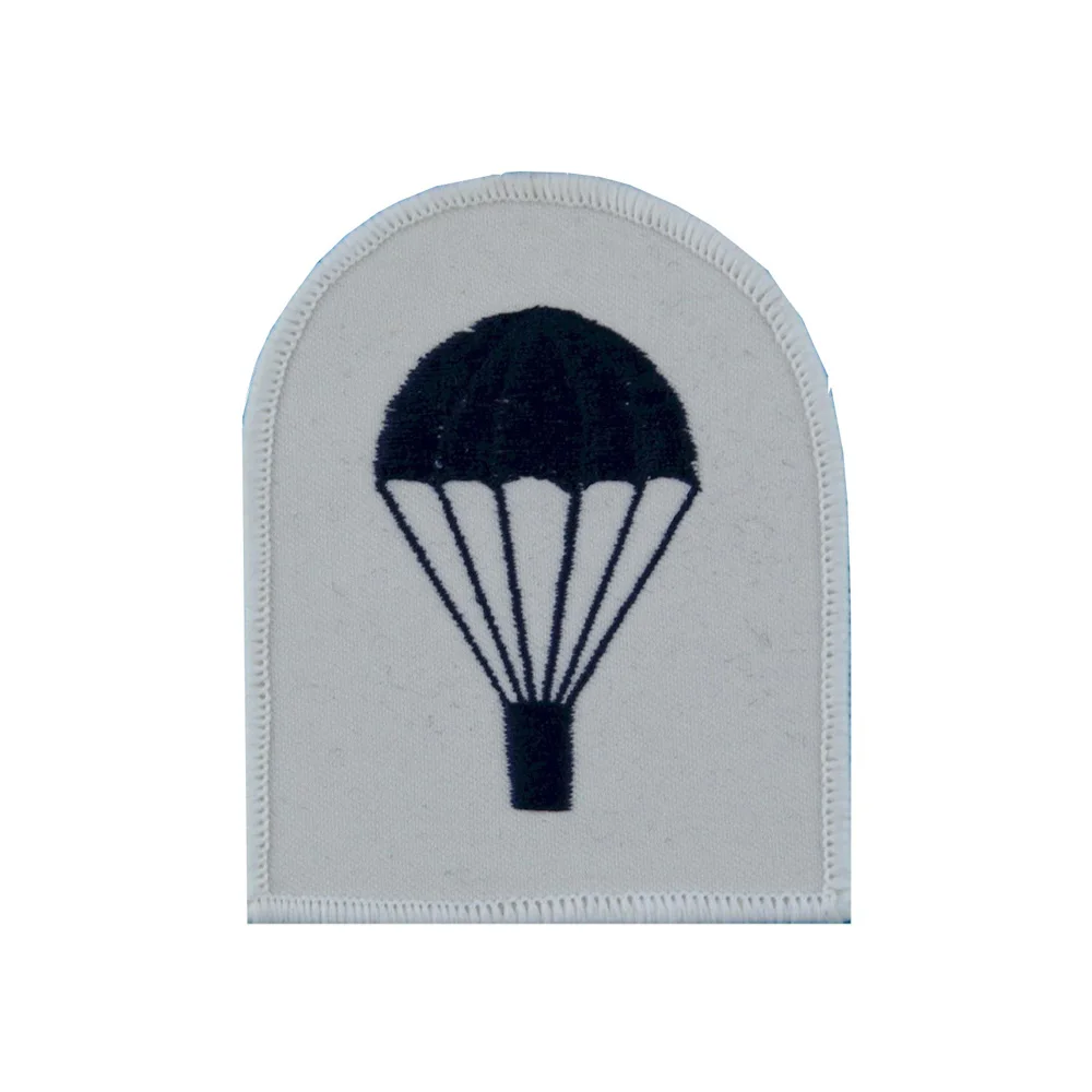 ROYAL ANGLIAN 1ST BN ZAP номер и группа крови значок Военная нашивка крючок