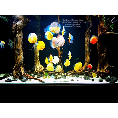 Hot sales 2024 Natural Trunk Driftwood Tree for Aquarium Fish Tank Decoration Ornament Landscape WhatsApp: +84 961005832