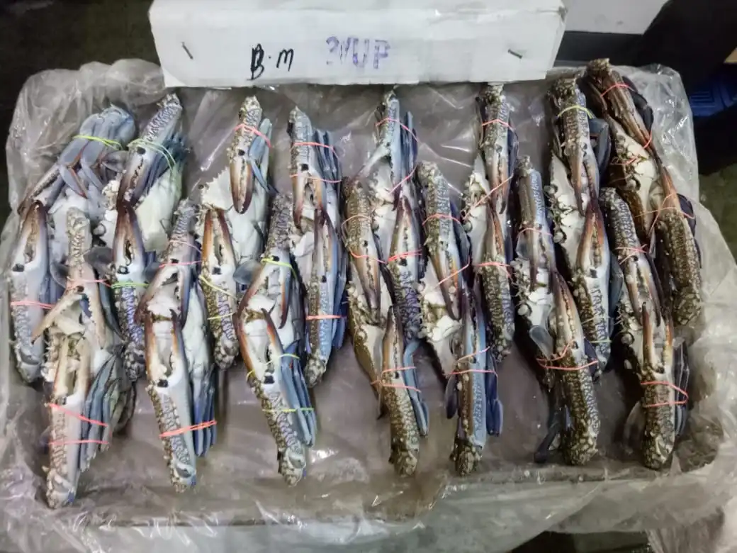 
CRAB BLUE SWIMMING FROZEN 