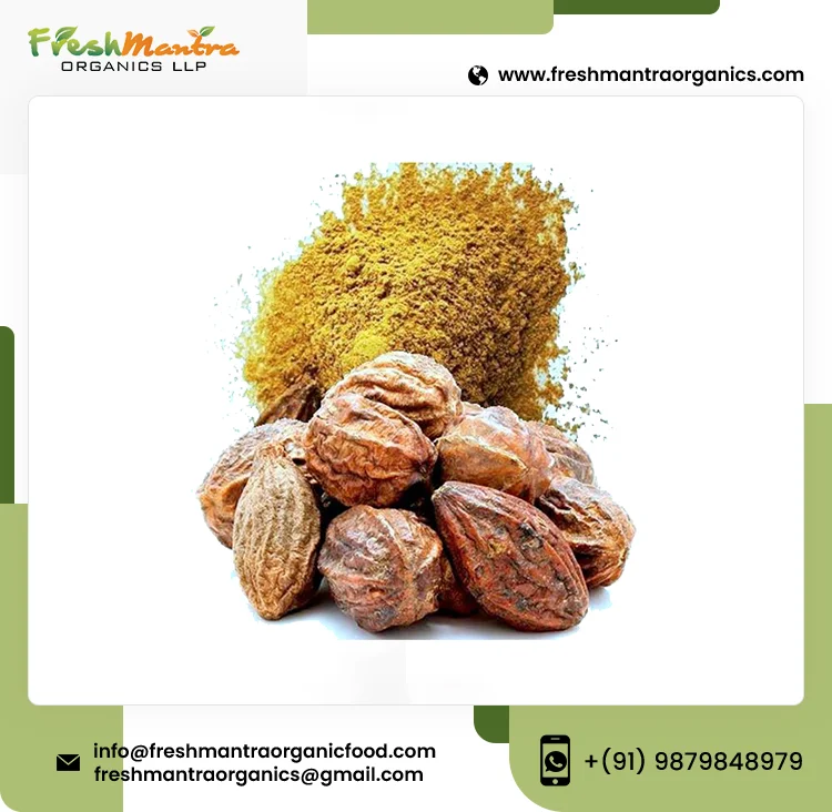 100% Organic Haritaki Seed Extract Powder With 24 Months Longer Shelf Life