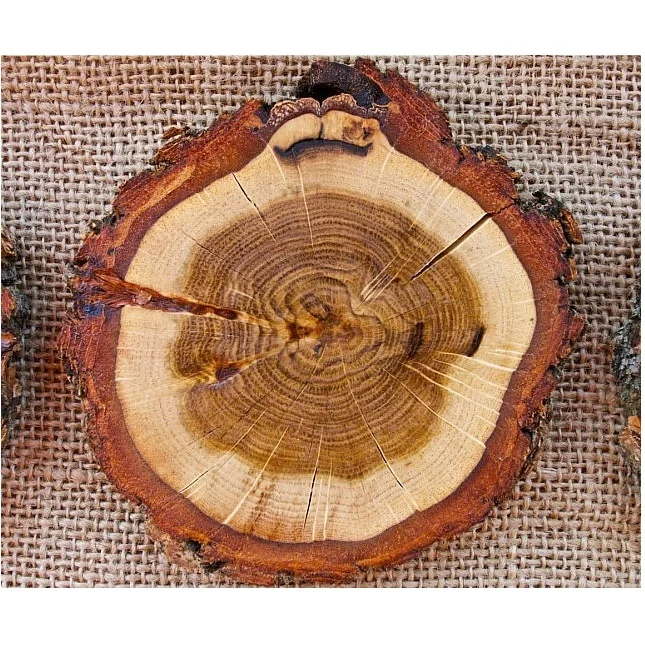 Деревянные подставки DIY с лаем кромки круглые деревянные