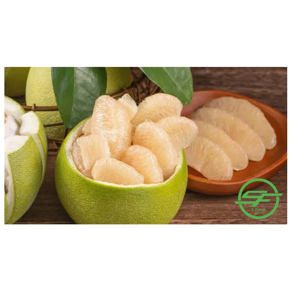 Grapefruit Best Quality Fresh Fruit Pomelo Fresh Fruit Grapefruit Vietnam Healthy Nutritious Fresh Sweet Freshly Picked Pomelo