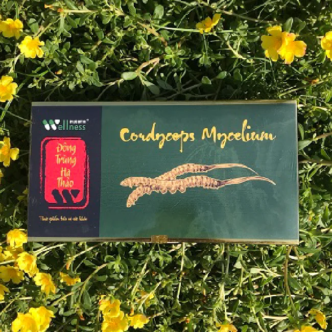 Wholesales prices Cordyceps extract products Health support Vietnamese products