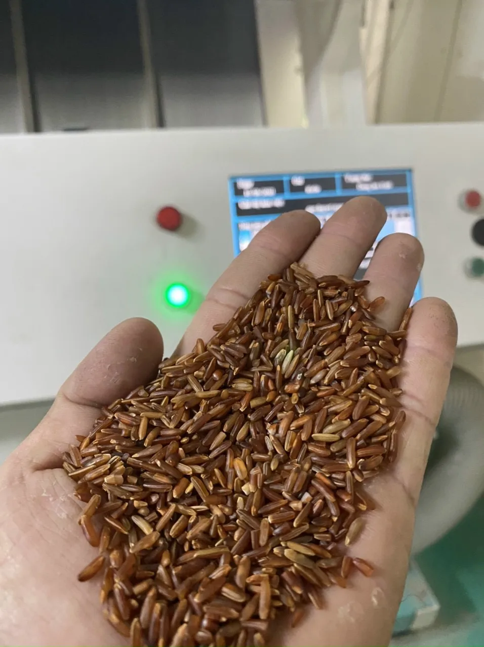 Natural Organic Red Rice Made In Viet Nam