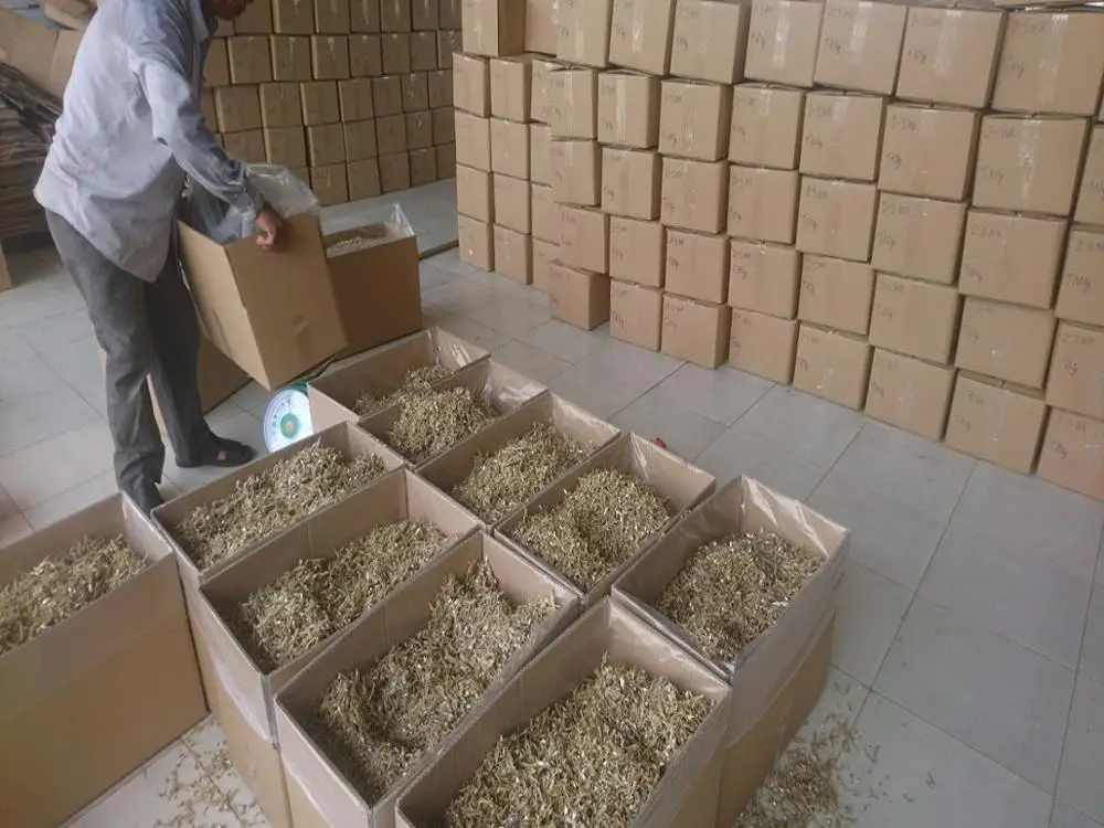 
dried salted anchovy - Dried Sprats 