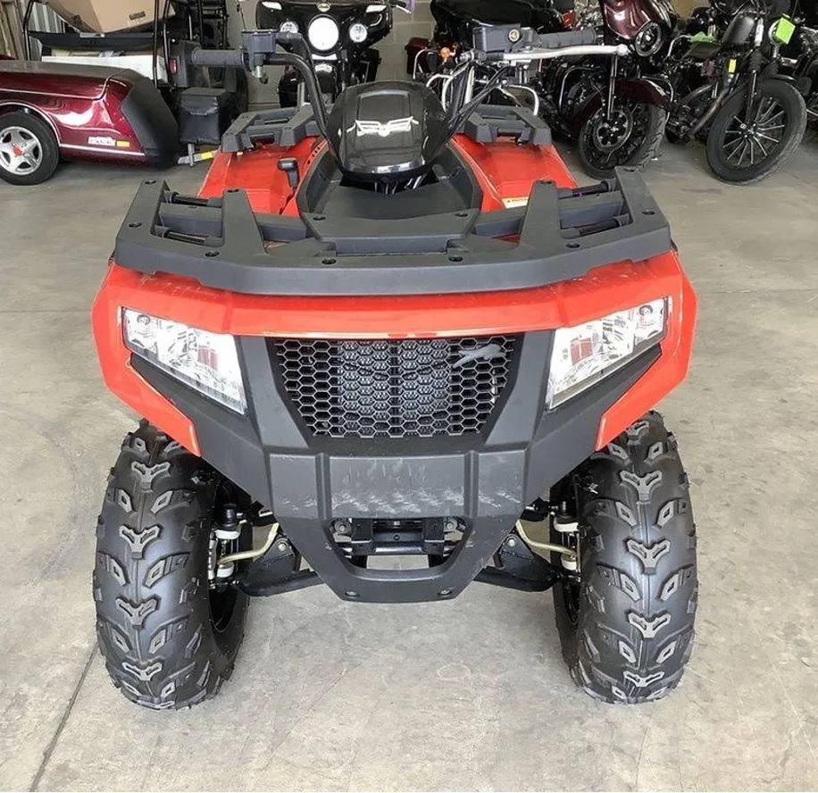 Clean ATV 2019 для продажи! Изготовлен работы и долгого дня на тропе/модели автоматический/протестированный гарантированный