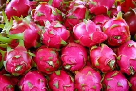 A1 Dragon Fruit-хорошее усиление иммунной системы.