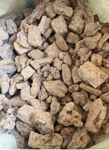 paste-pic-dp_uuid_6upd0