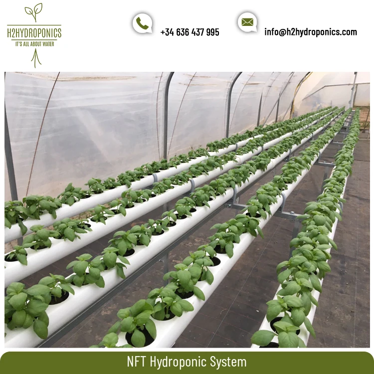 Top Listed Manufacturer of 2.1 mm Thickness Made Top Quality NFT Hydroponic System at Minimal Price