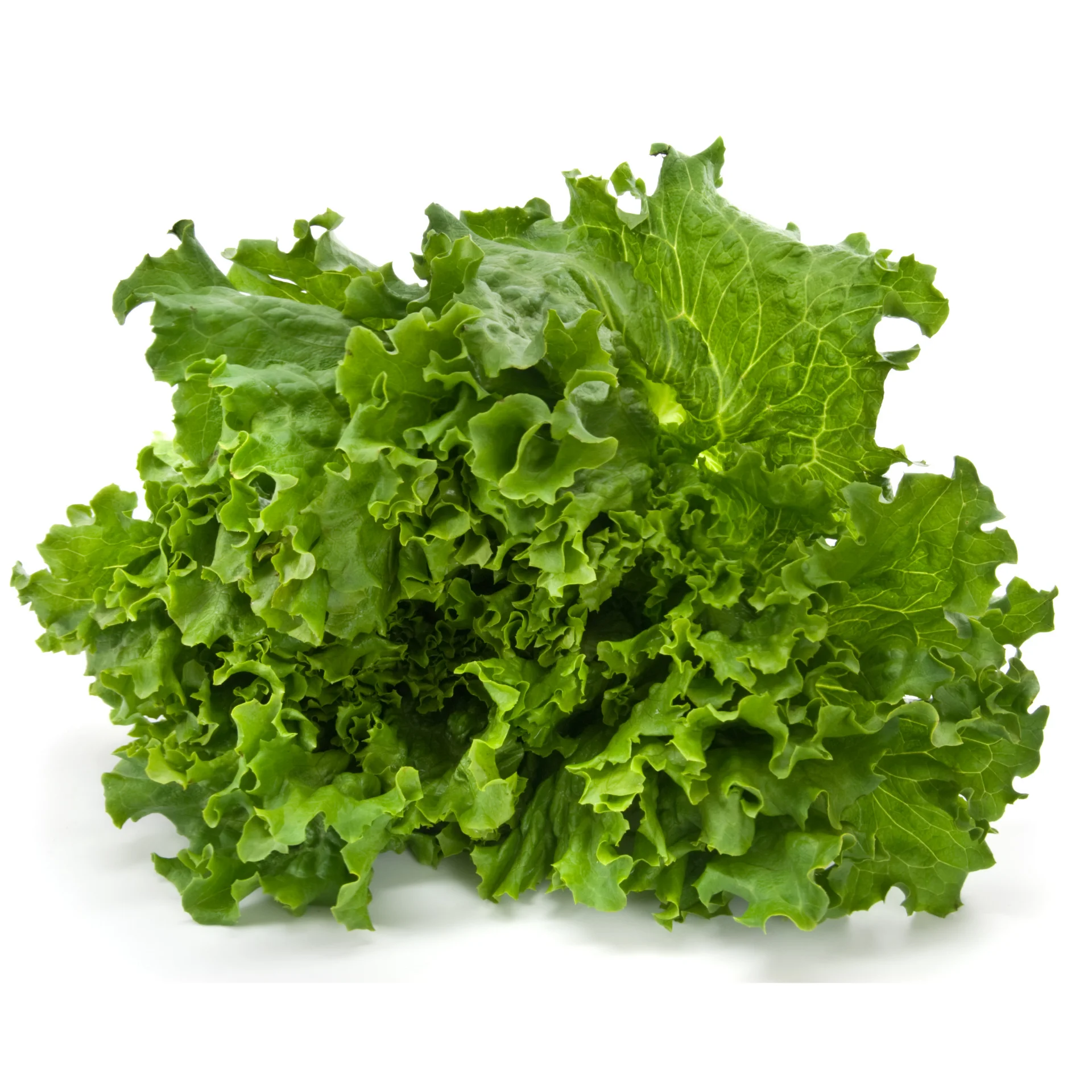 Салат-высокое качество