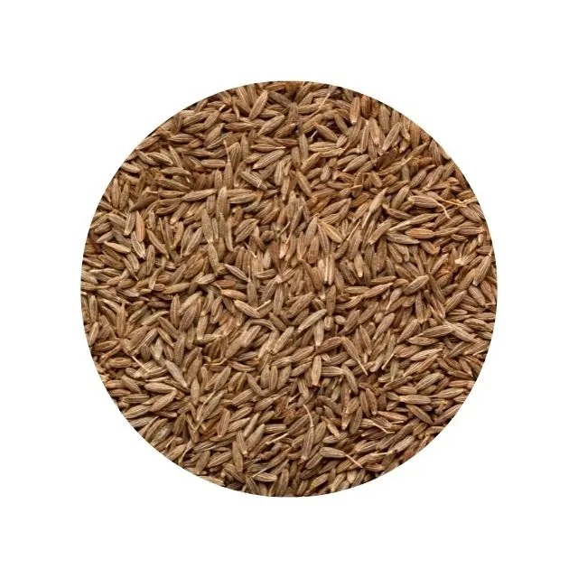High Quality at cheap price 10x35g single spices cumin spice for Aromatic Seasoning cumin spice from India