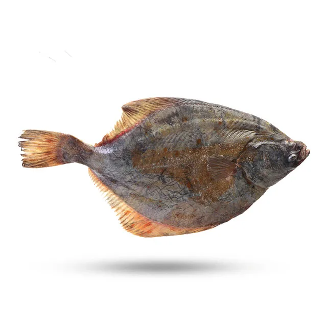 
High Value And No Small Thorns Frozen Fish Flounder Filleting Black Halibut Fresh Frozen Halibut Fish In Bulk 