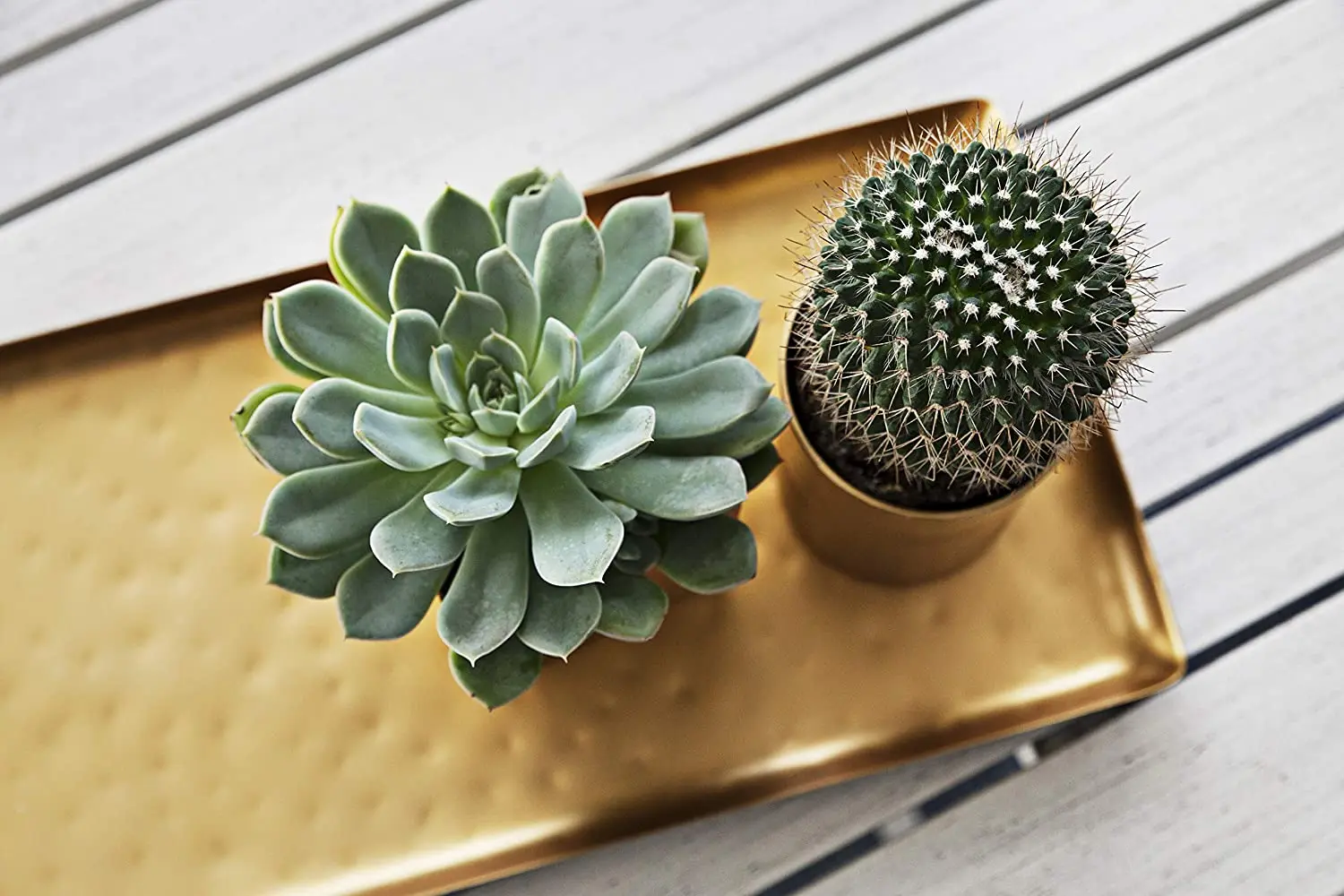  Современный античный латунный поднос с большими котелками из нержавеющей стали Сервировочные подносы и тарелки современный декоративный металлический сервировочный