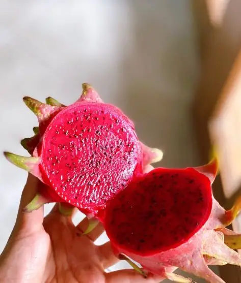 Свежий дракон фрукты Высокое качество из Вьетнама/Ханна + 84 382 369 818