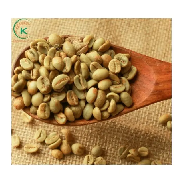 Wholesale Specialized Fresh High Quality Vietnam Arabica - The K-Agriculture factory Lam Dong