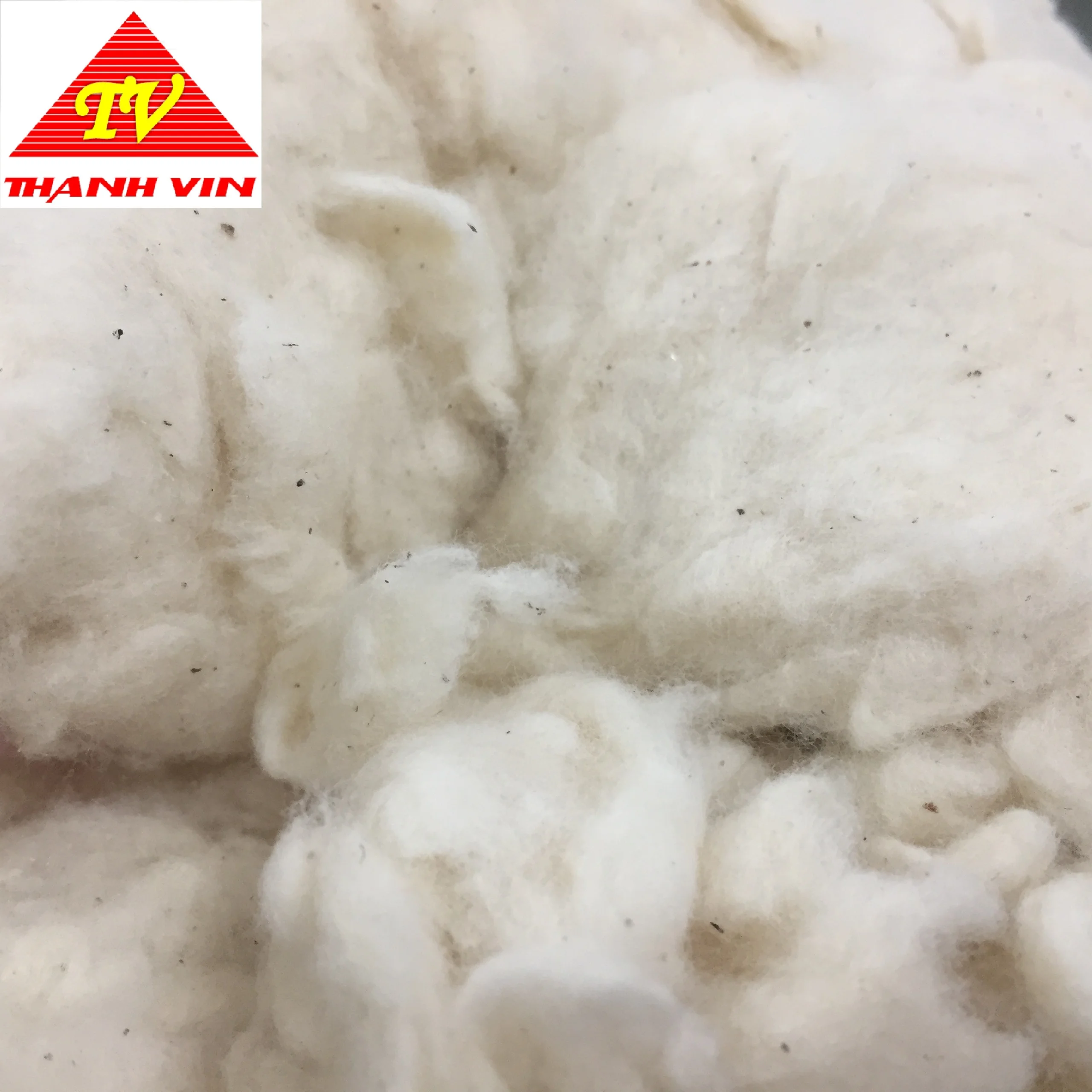 Comber Noil натуральный экологически чистый материал отбеленный/неотбеленный хлопок для прядения и водопоглощающего