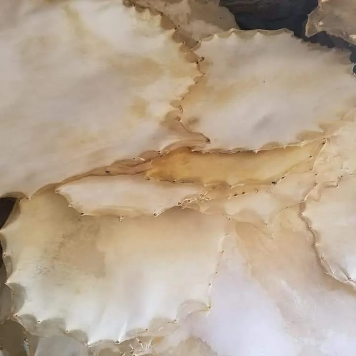 Кожаный чехол для барабана Vellum