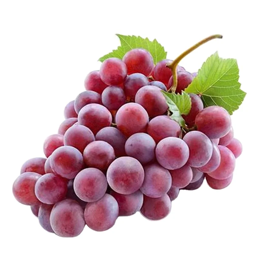 Seedless shine muscat fresh export green grapes with little sourness