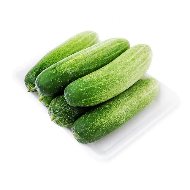 Wholesale Fresh Cucumber For Sale (Lasuco) Packing: 6-10 Kg /Carton