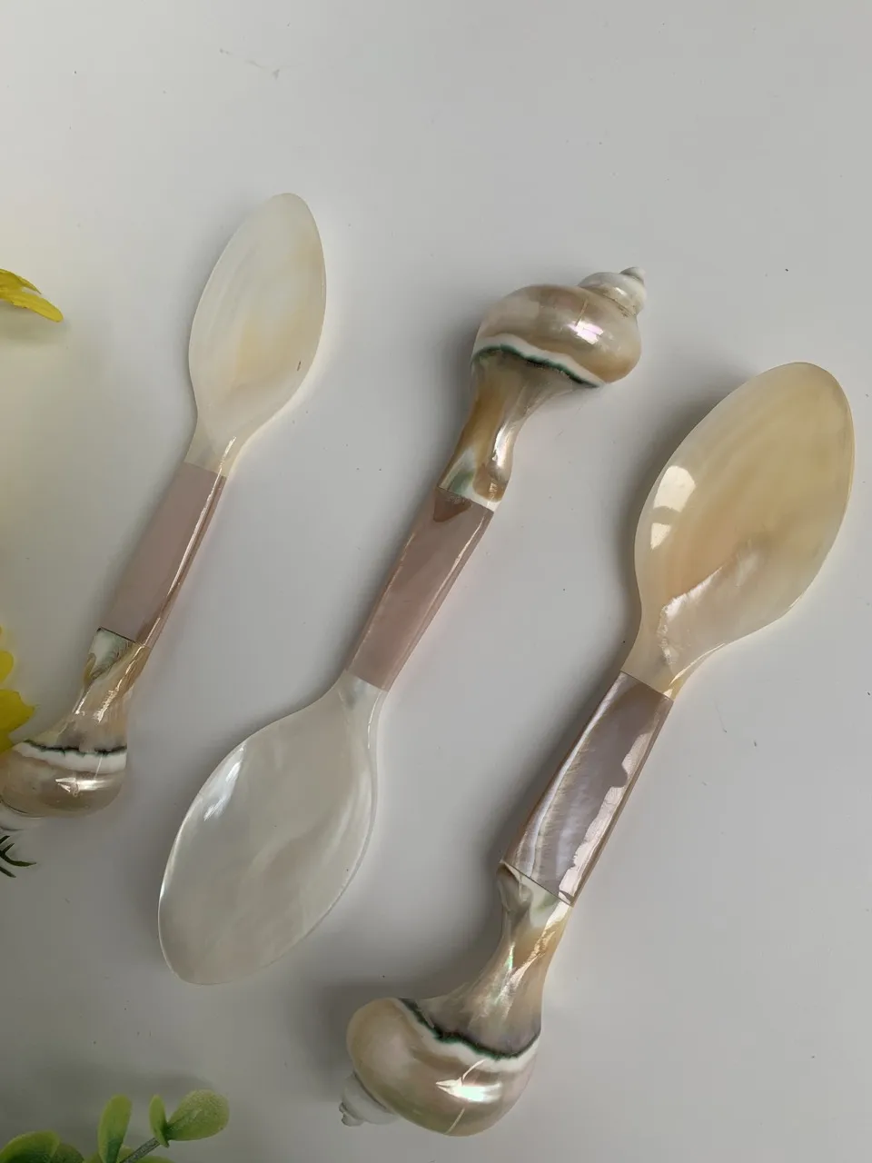 Cheap Caviar Shell Spoon Natural Environmentally Friendly Household Coffee Measuring Spoon