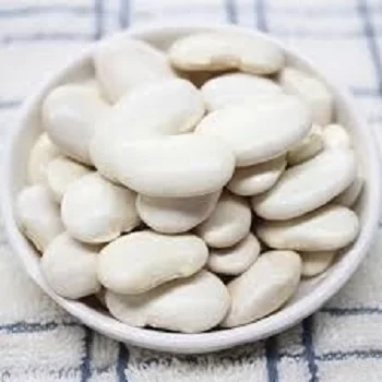 
Fresh Dried Frozen Lima Beans,White Lima Bean 