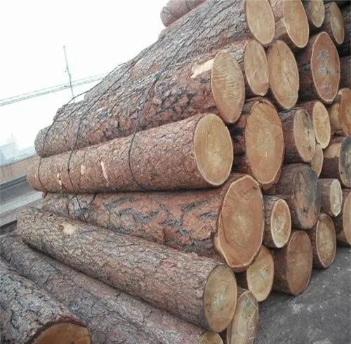  Eucalyptus timber wood logs Pine Oak