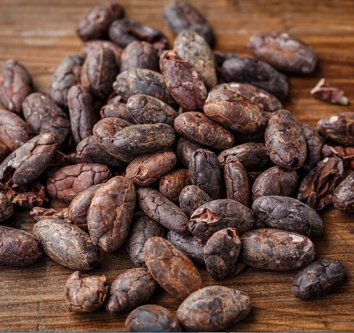 Organic Raw Cacao Beans Export to EU, USA, UAE, etc - High Quality Cacao Powder Making Chocolate at Cheap Price -