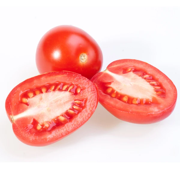 Привлекательные красные помидоры для экспорта из Индии