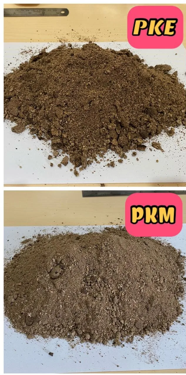 High Quality Agriculture Vegetable Powder 100% Admixture Palm Kernel Meal (PKM) Animal Feed From Indonesia