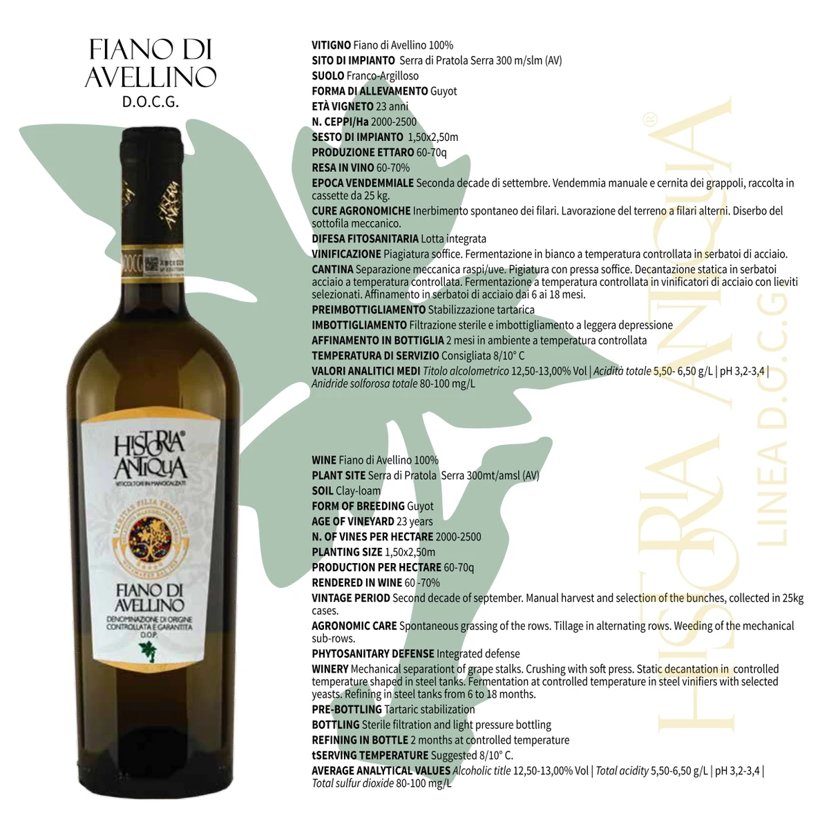 high quality italian white wine FIANO DI AVELLINO DOCG  goes well with all types of meals, but especially various fish