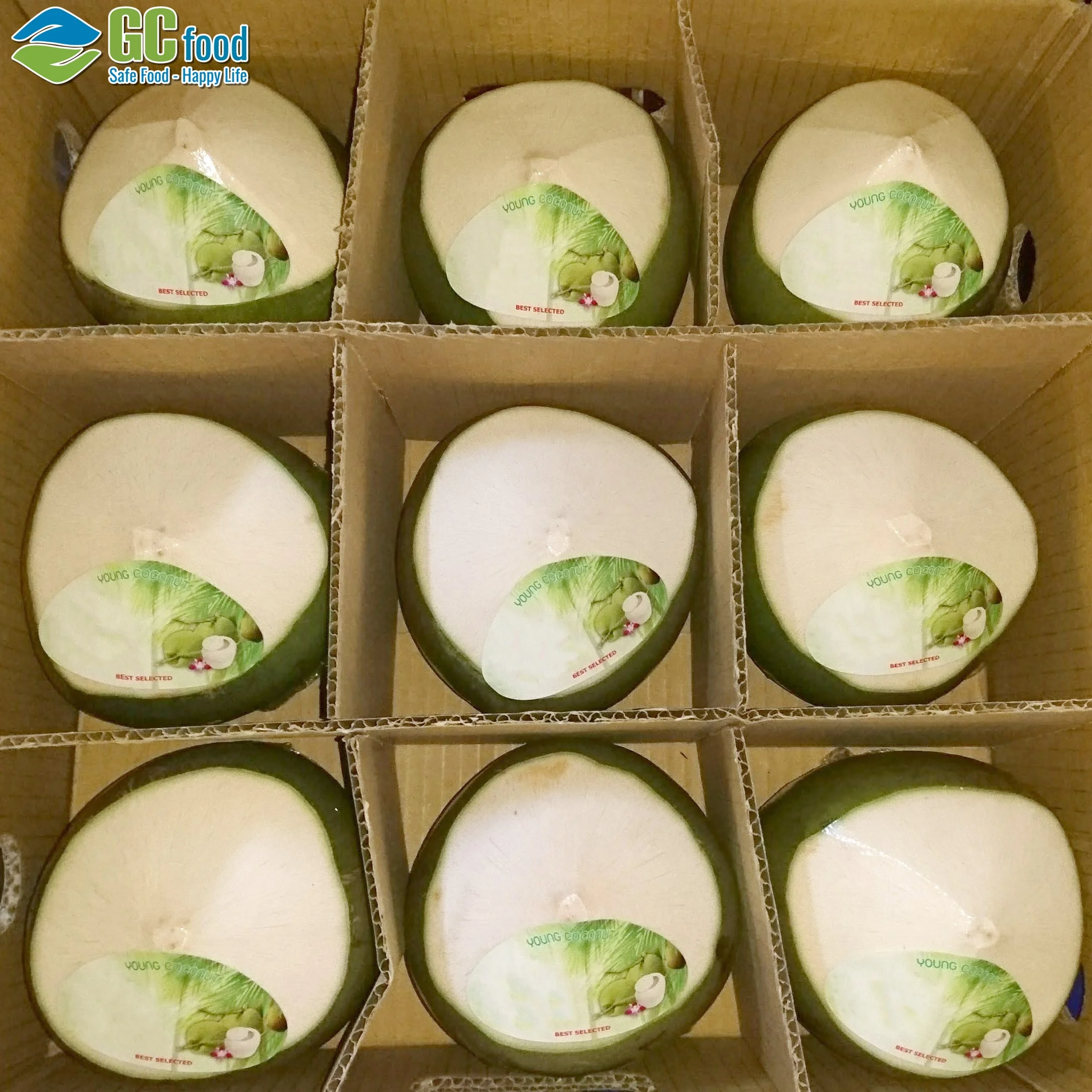 High Quality from VietnamFresh Young Coconut Premium Tropical - 100% organic fresh coconut