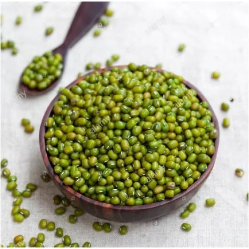 Export Agroculture Organic Vigna Green Mung Beans