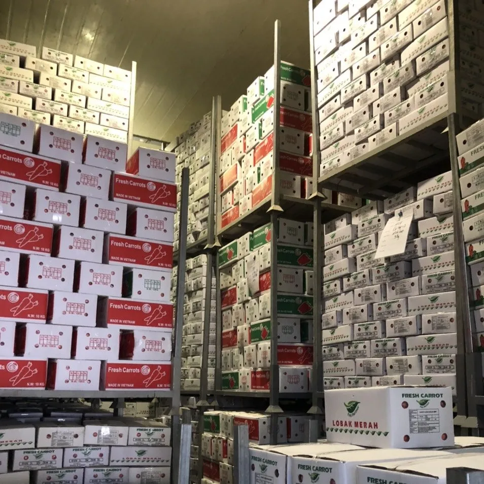 Натуральные овощи высокого качества Вьетнам-свежий натуральный вкус моркови