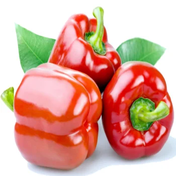 
Fresh California Red Bell Pepper New Season 2021 From Turkey 